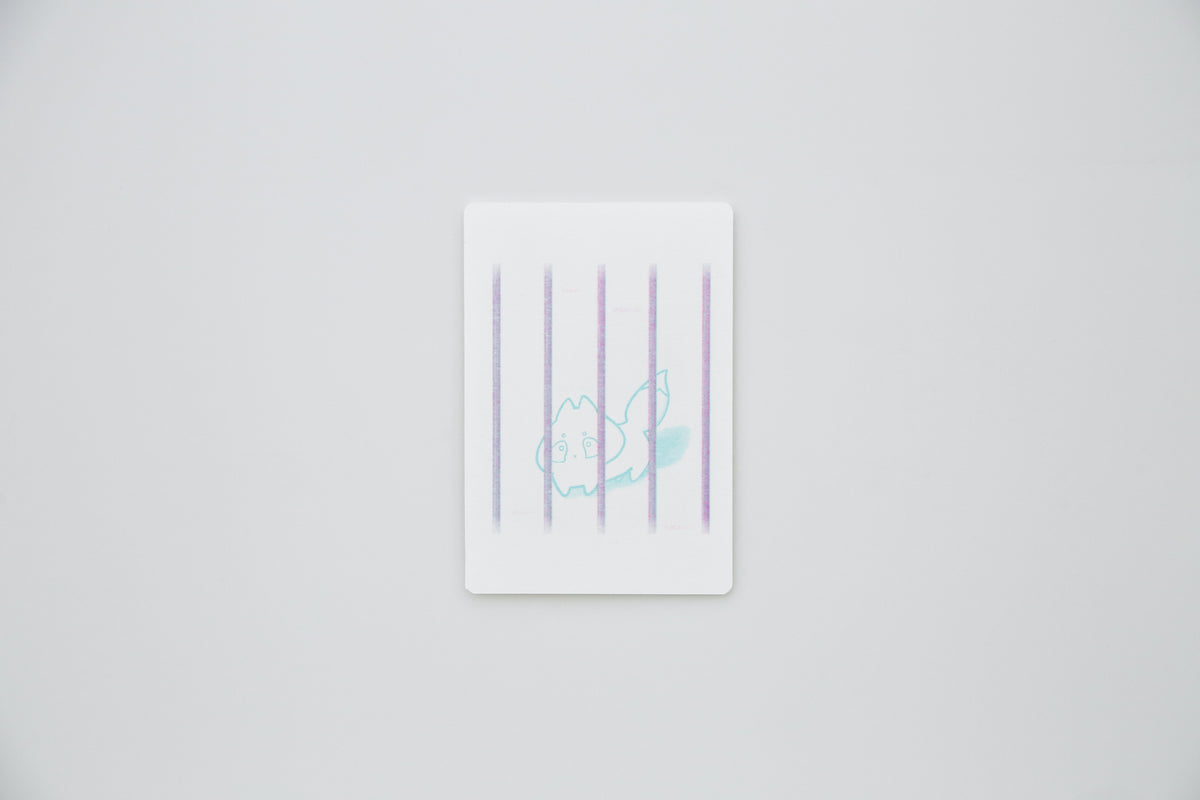ZINE Set