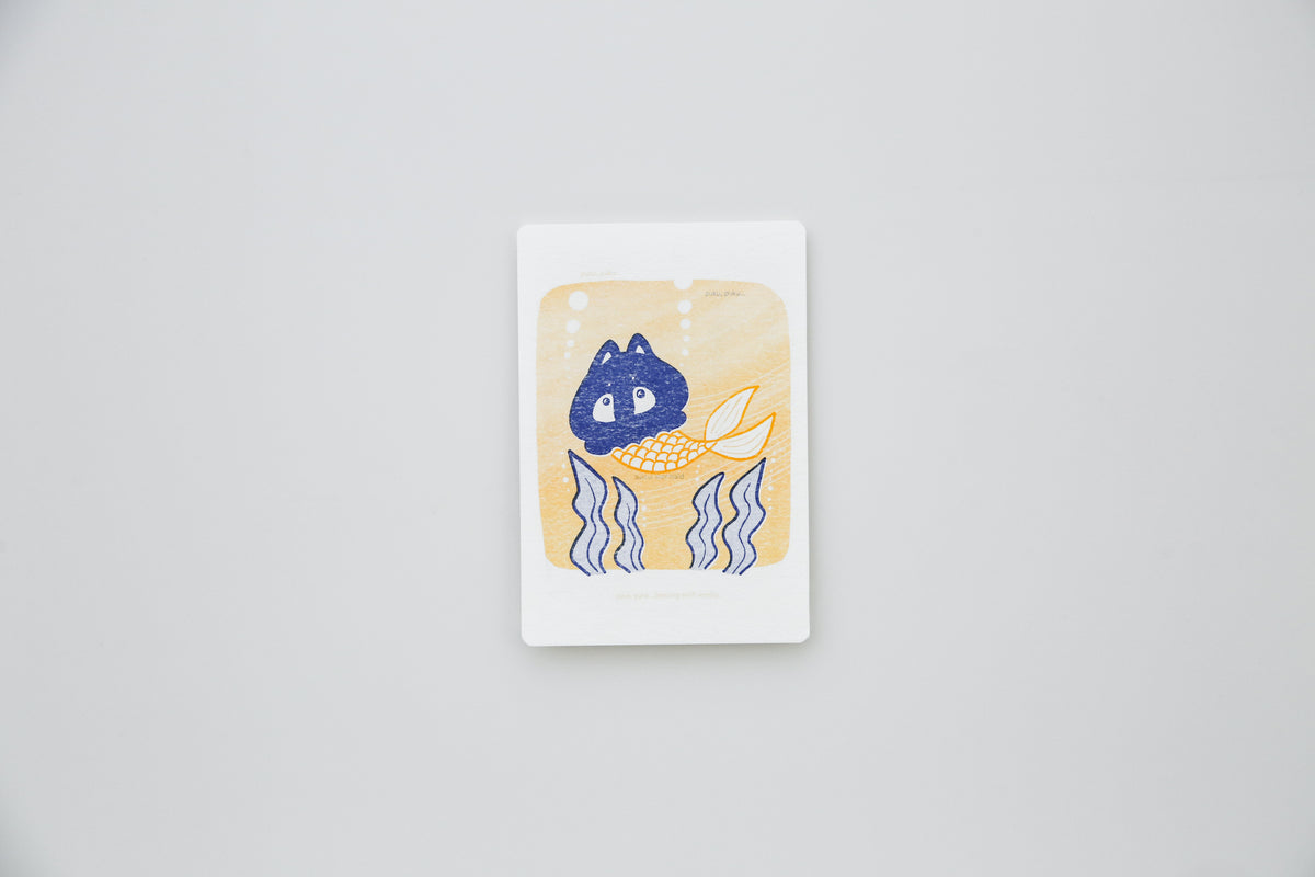 ZINE Set